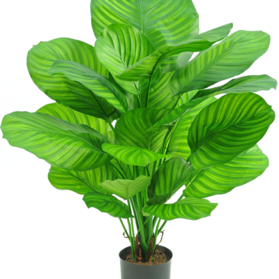 Calathea zijden plant 72cm