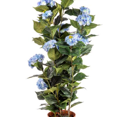 Hydrangea 150cm Blue Hortensia 150cm Blue