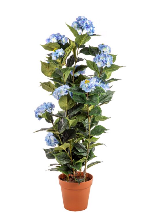 Hydrangea 150cm Blue Hortensia 150cm Blue