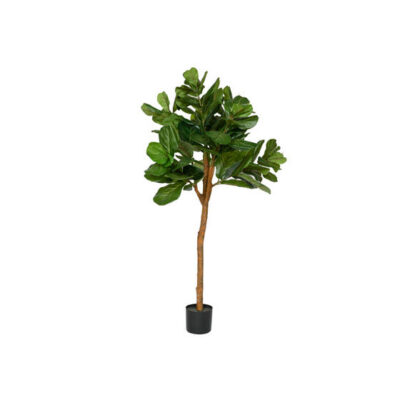 Ficus Lyrata L, Green 150cm PP