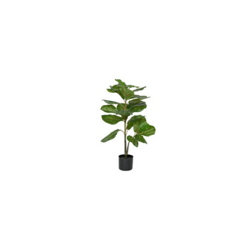 Ficus Lyrata XS 100cm Green PP