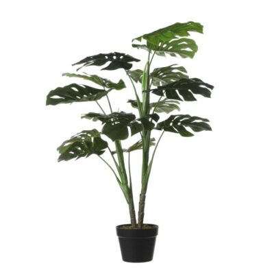 Monstera h100xd70cm WJ