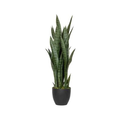 Sansevieria M 85cm Green PP