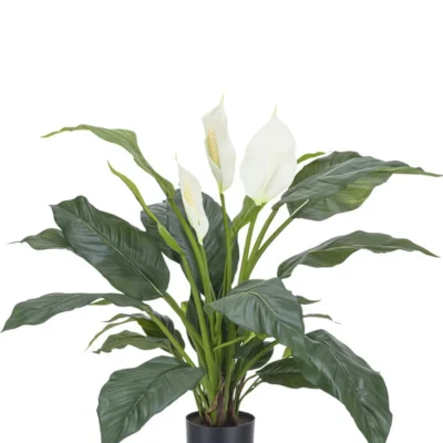 Spathiphyllum Lepelplant zijde wit 85 cm GM