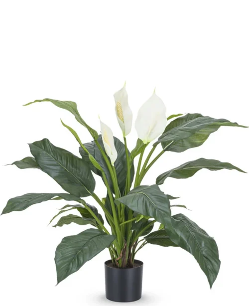 Spathiphyllum Lepelplant zijde wit 85 cm GM