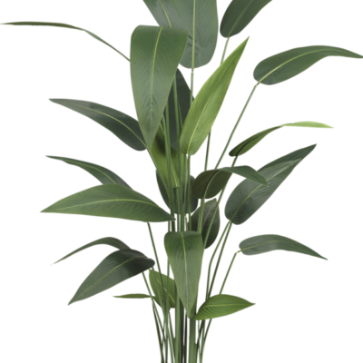 Heliconia zijden plant 150 cm GM