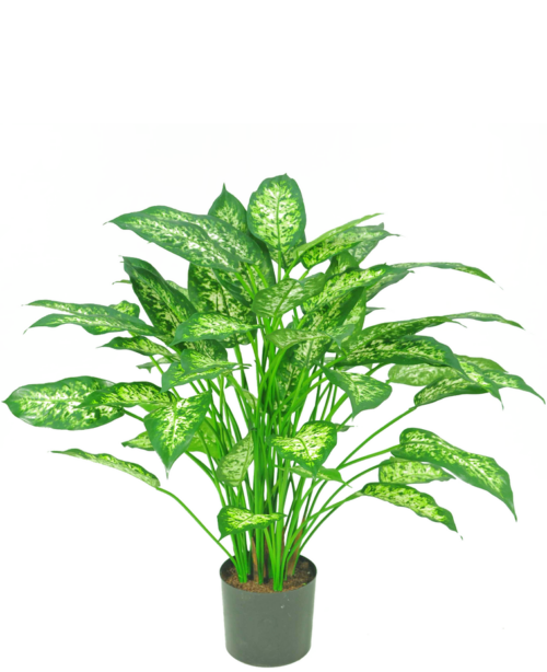 Dieffenbachia 75 cm zijden plant GM