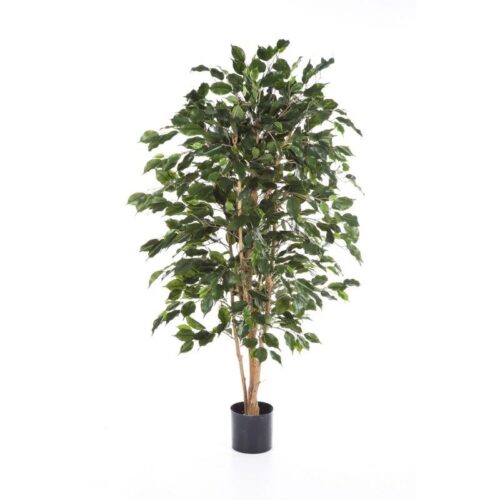 Ficus Exotica Kunstplant Brandvertragend Flora