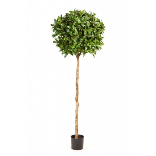 LAURIER BALL DE LUXE TREE 140cm Brandvertragend Flora