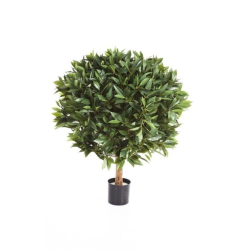 LAURIER BALL DE LUXE 60-80cm Brandvertragend Flora