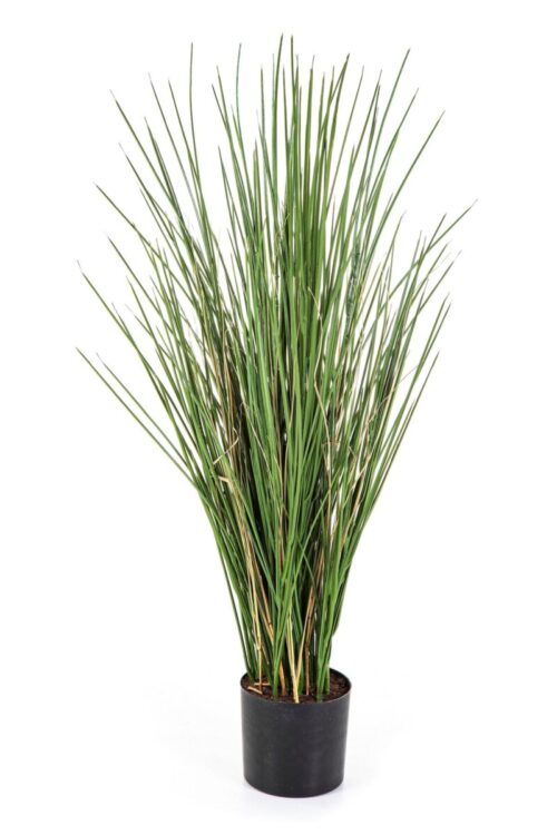 Honey Grass 80 cm w/pot Brandvertragend Flame Retardant Flora