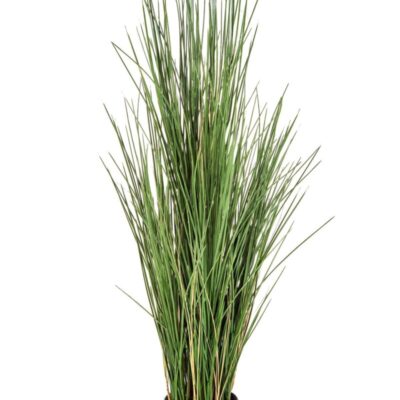 Honey Grass 120 cm w/pot Brandvertragend Flame Retardant Flora