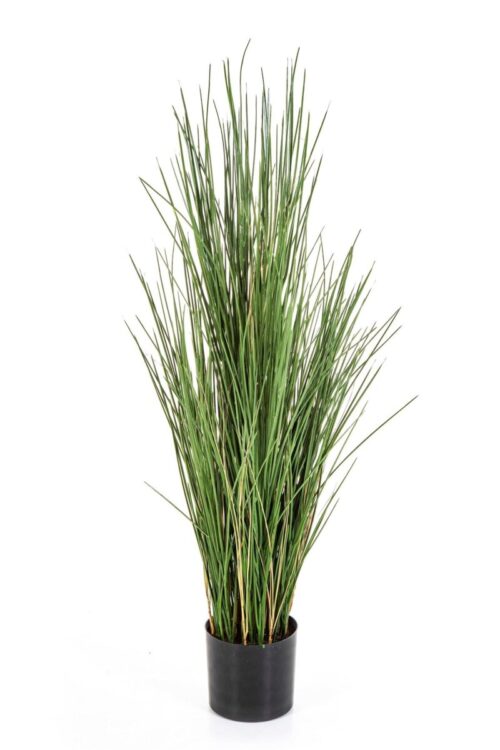 Honey Grass 120 cm w/pot Brandvertragend Flame Retardant Flora