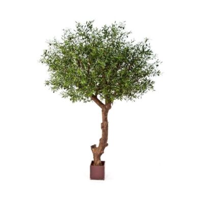 Olijfboom kunst Natural Olive Tree Poly Trunk with Fruits Flora