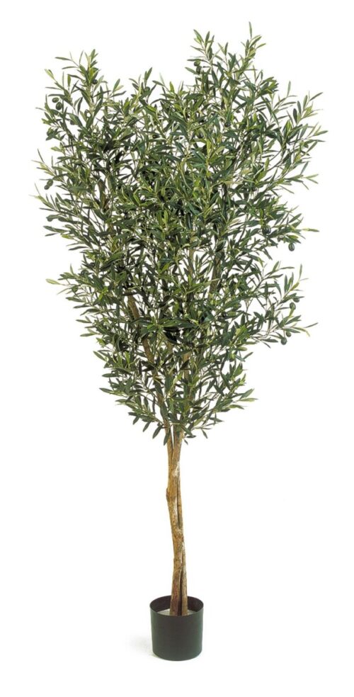 Olijfboom kunst Natural 180 cm OLIVE TREE WITH FRUITS Flora