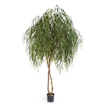 Treurwilg 240 cm WILLOW TREE Flora