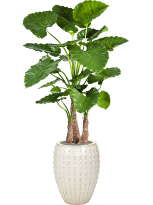 Alocasia calidora in Laos Zijde verlijmd Hoogte: 171 Diameter Plantenbak: 44