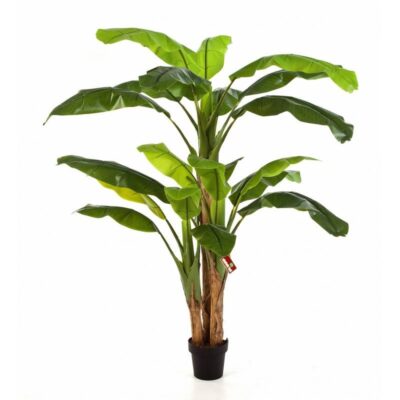 Bananatree kunst Bananenboom 180cm x 3 stam in pot 57206N FW Optiflower