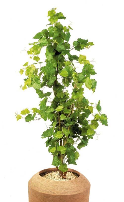 GRAPE IVY TREE Kunst Druivenplant 120cm 43604N FW Optiflower