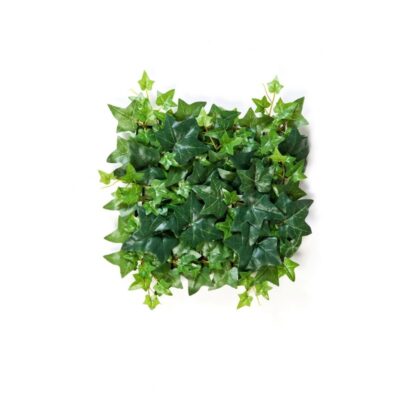 Green Ivy Mat ( Hedera) 30x30 cm 1138N Optiflower