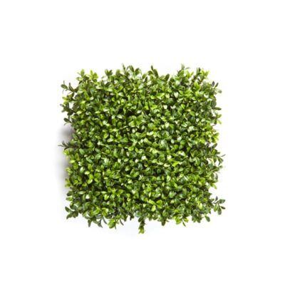 New Boxwood ( Buxus ) Square Carpet 5926CP Optiflower