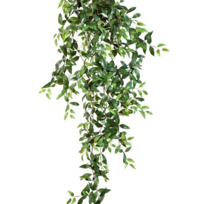 Tradescantia Hanging Bush Green 125 cm 1133N FW Optiflower