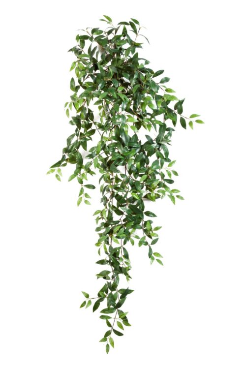 Tradescantia Hanging Bush Green 125 cm 1133N FW Optiflower