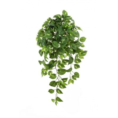 Pothos Hanging Bush x 232 bladeren  Lengte 85 cm.
