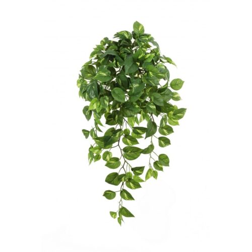 Pothos Hanging Bush x 232 bladeren Lengte 85 cm.