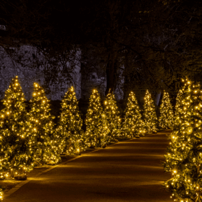 Kerst assortiment